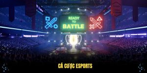 Chiến Thuật Cá Cược Esports Được Nhiều Cao Thủ Tin Dùng